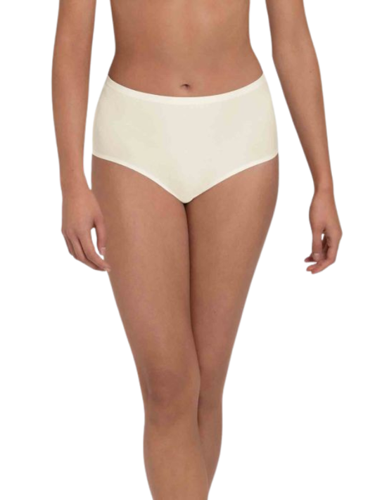 Anita Essential Taille Slip 1343 | crystal